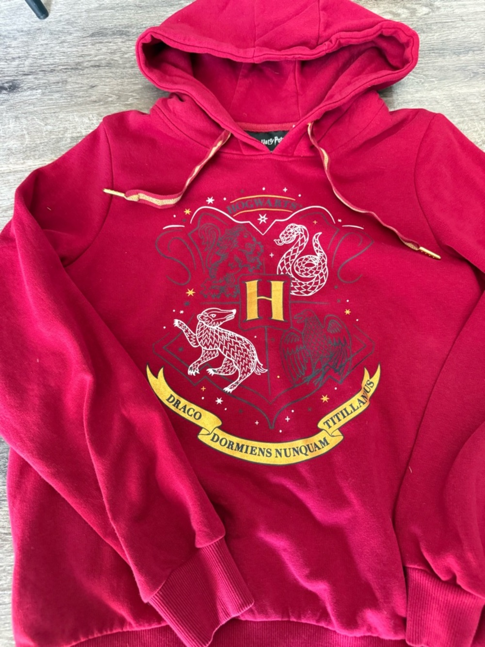 Warner Bros. Red Harry Potter Hooded Sweatshirt with Gold Accent
